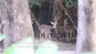 包含	?38滩?焩25崽(h	觕膦m紞的词条